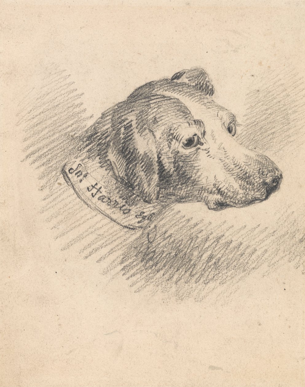 Hodet på en hund av George Morland