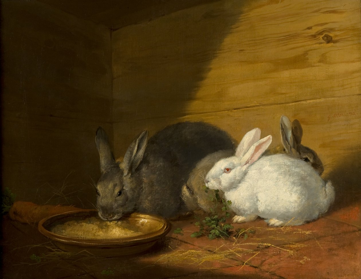 Kaniner av George Morland
