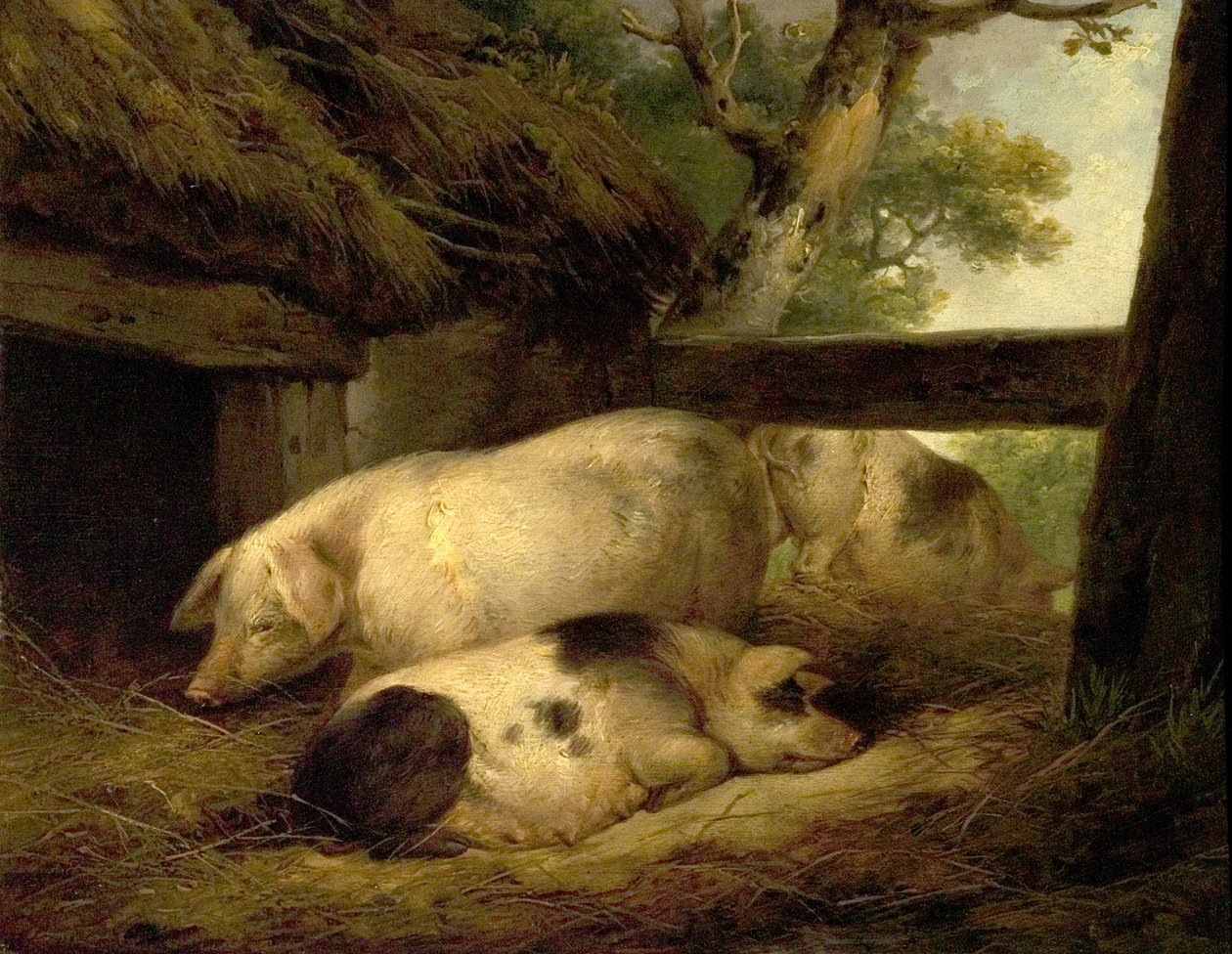 Studie av griser av George Morland