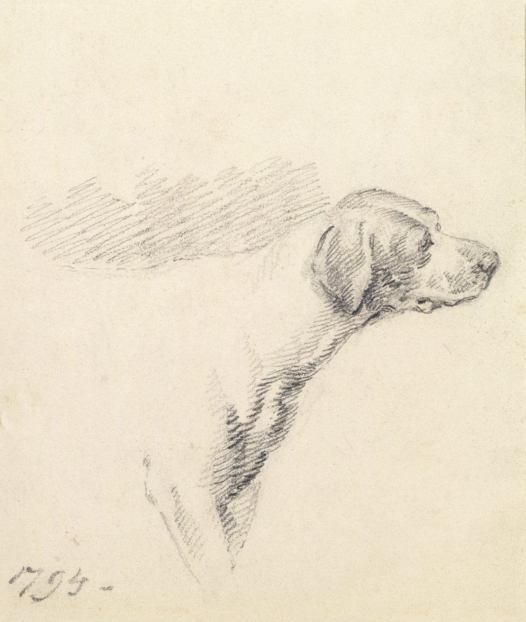 Studie av en hund, 1794 av George Morland