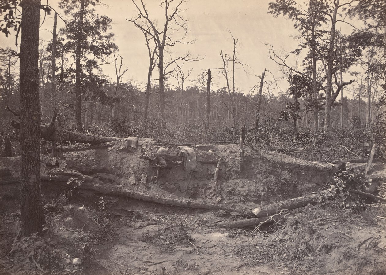 Battle Field of New Hope Church, GA, nr. 2, 1866. av George N. Barnard
