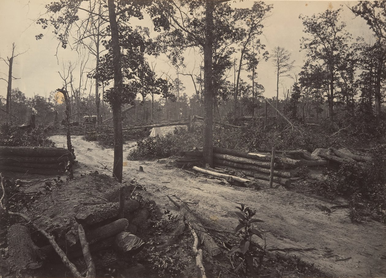 Battle Field of New Hope Church, Georgia nr. 1, 1860-tallet. av George N. Barnard