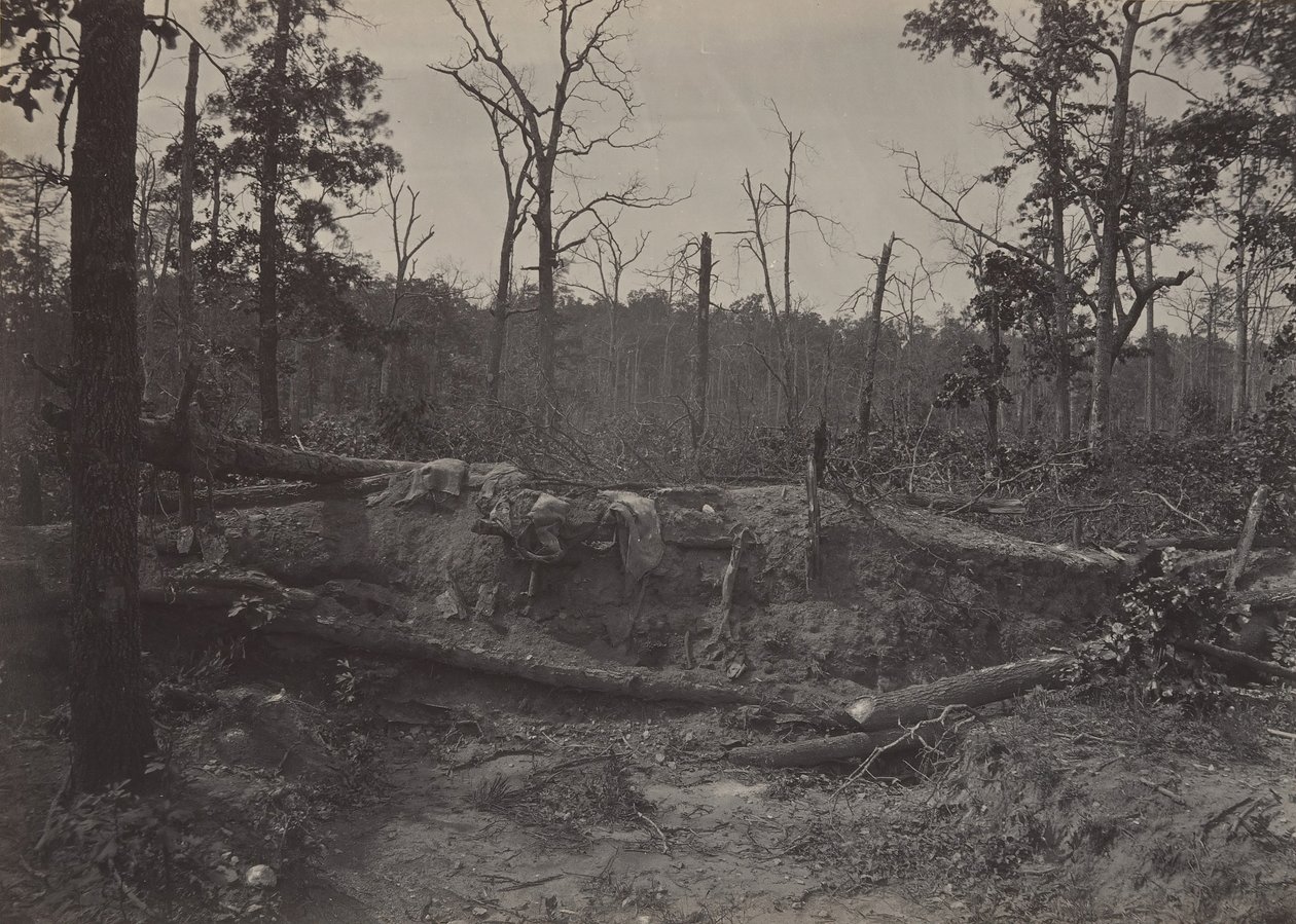 Battle Field of New Hope Church, Georgia nr. 2, 1860-tallet. av George N. Barnard