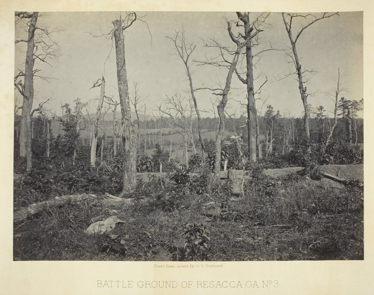 Battle Ground of Resacca, GA, nr. 3, 1866. av George N. Barnard