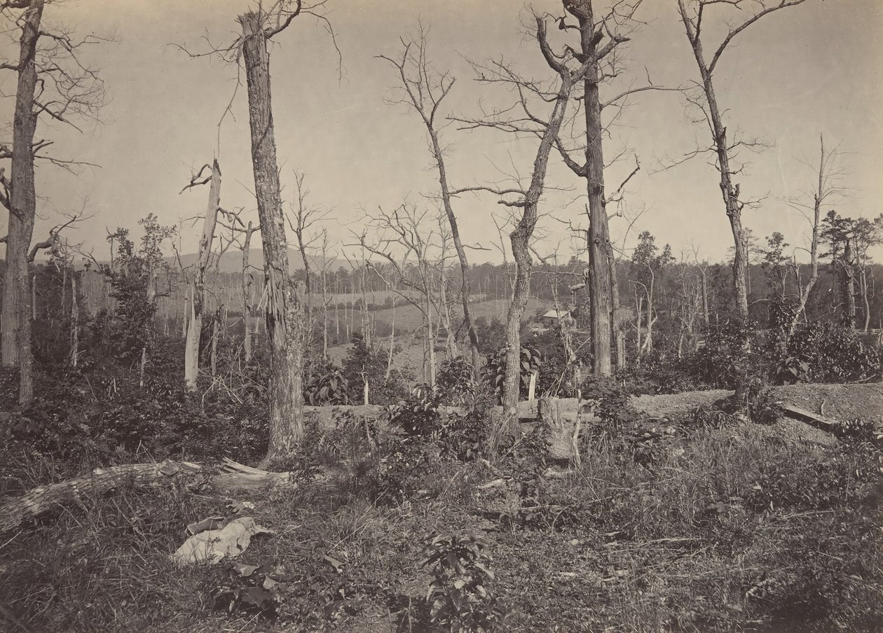 Battle Ground of Resacca, Georgia nr. 3, 1860-tallet. av George N. Barnard