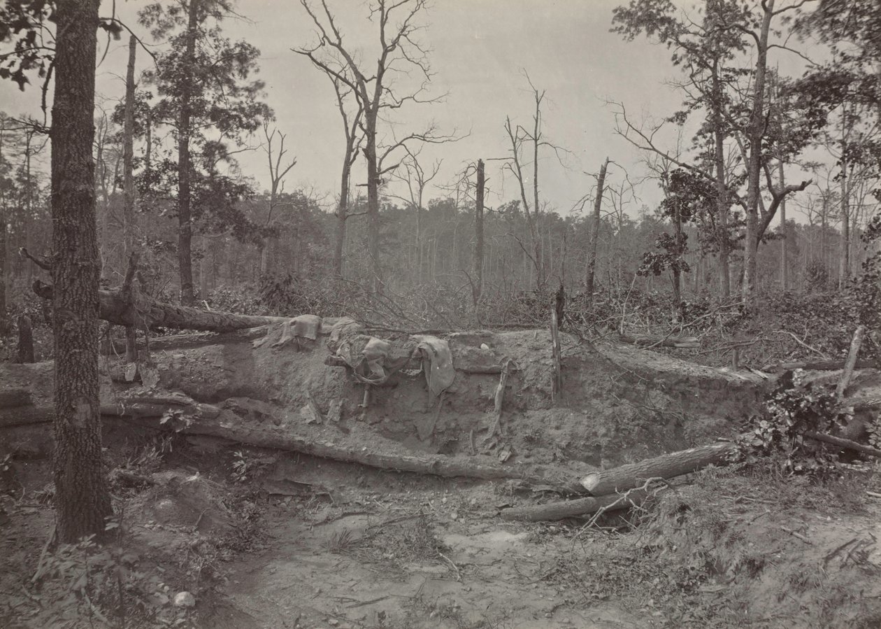 Battlefield of New Hope Church, Georgia, nr. 2, 1865-1866. av George N. Barnard