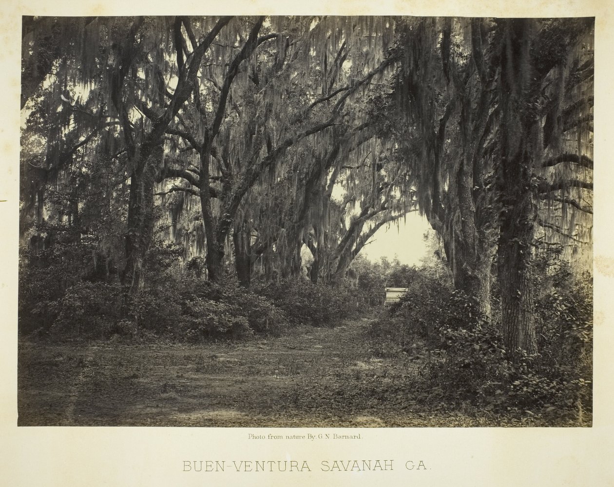  av George N. Barnard