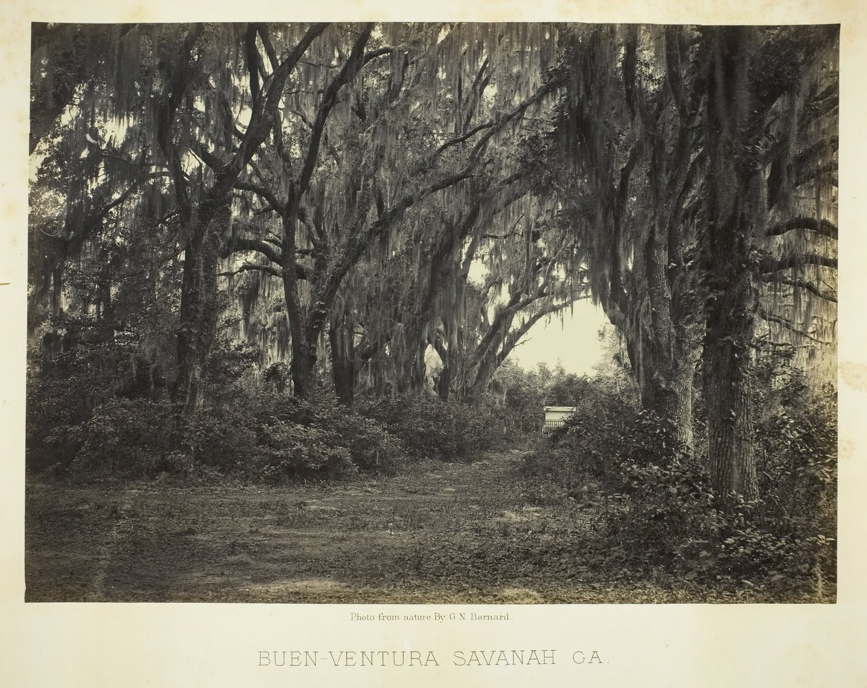 Buen-Ventura Savannah, Ga., 1866. av George N. Barnard