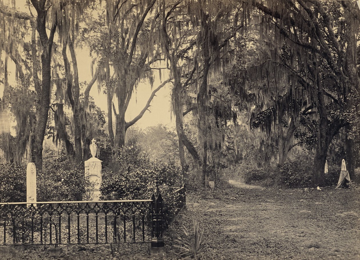 Buen-Ventura, Savannah, Georgia av George N. Barnard