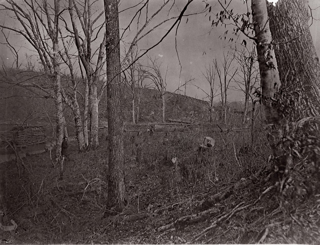 Bull Run, Virginia, 1861-62. av George N. Barnard