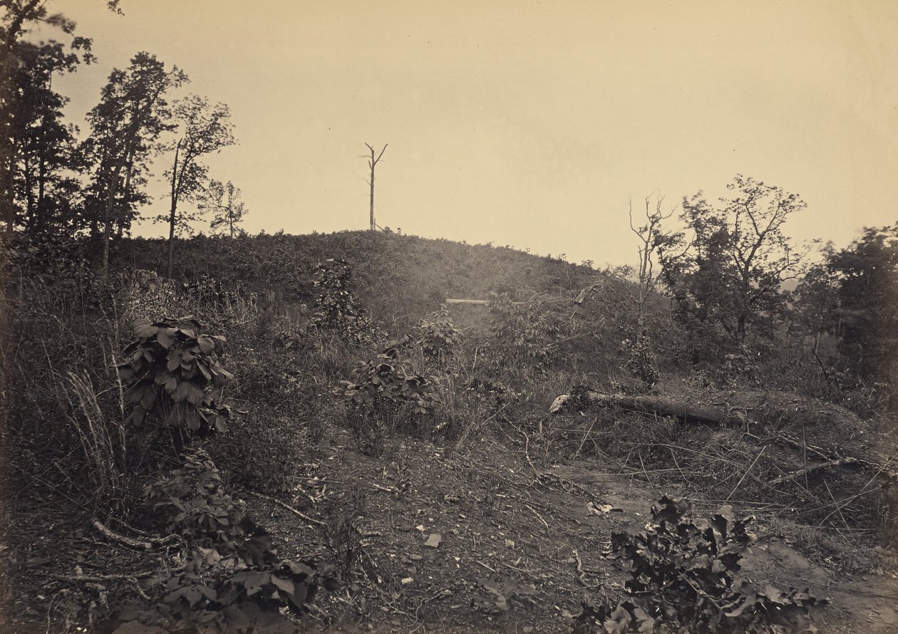  av George N. Barnard