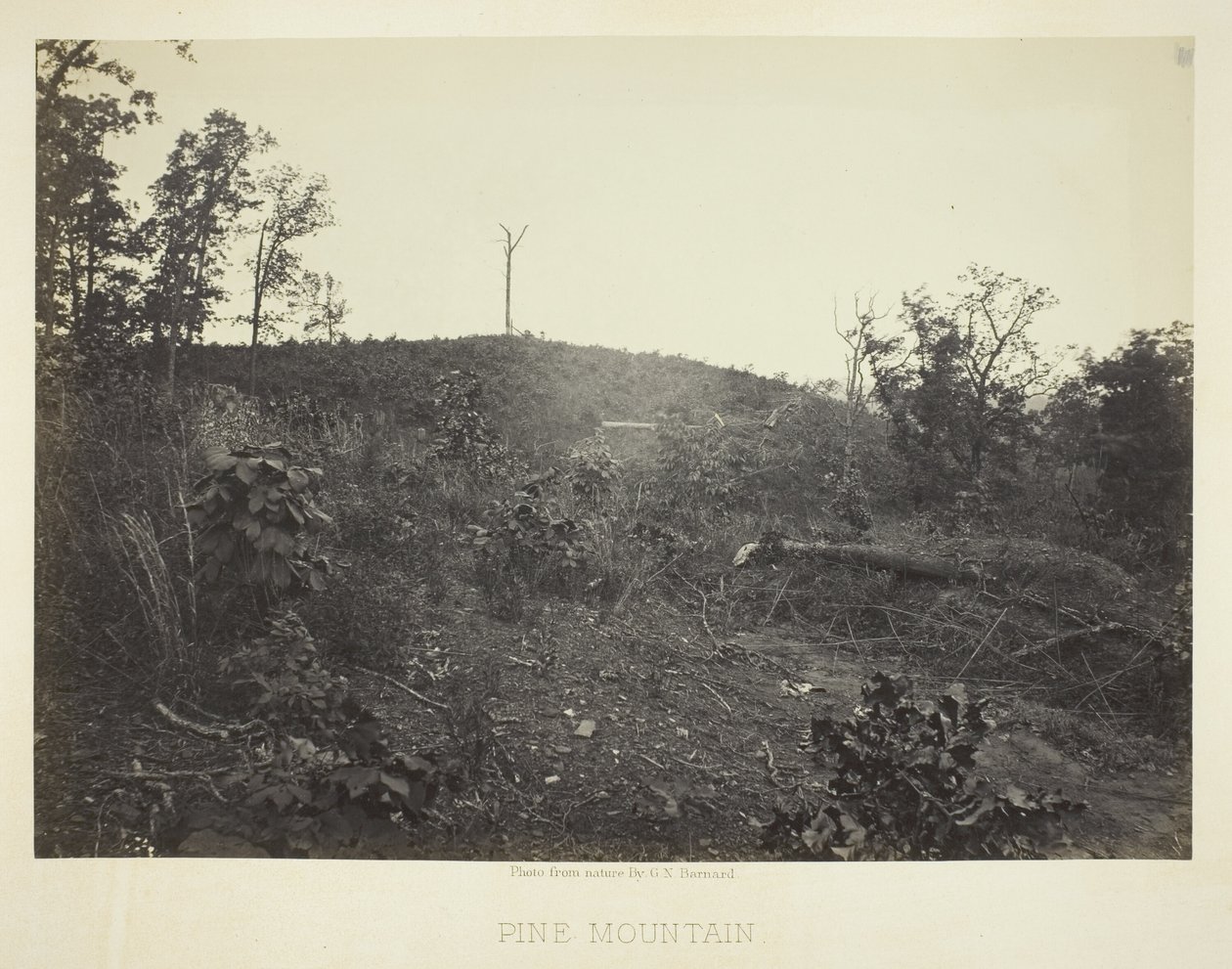  av George N. Barnard