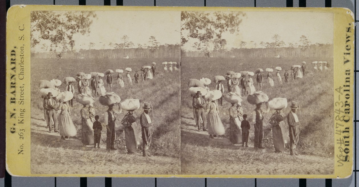 Retur fra Cottonfields i South Carolina (stereograf) av George N. Barnard