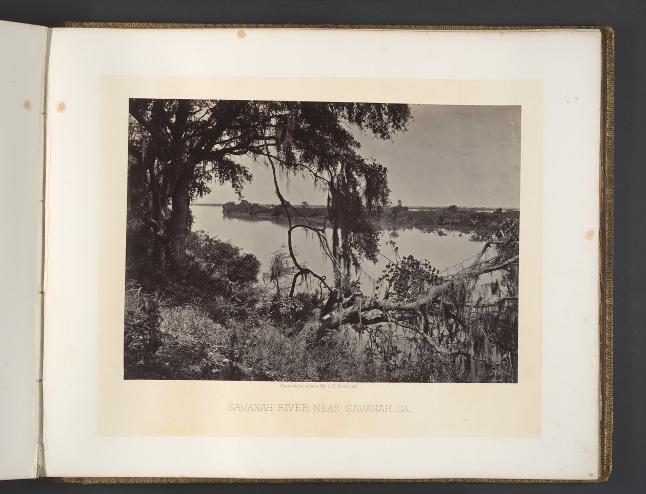Savannah-elven, nær Savannah, Georgia av George N. Barnard