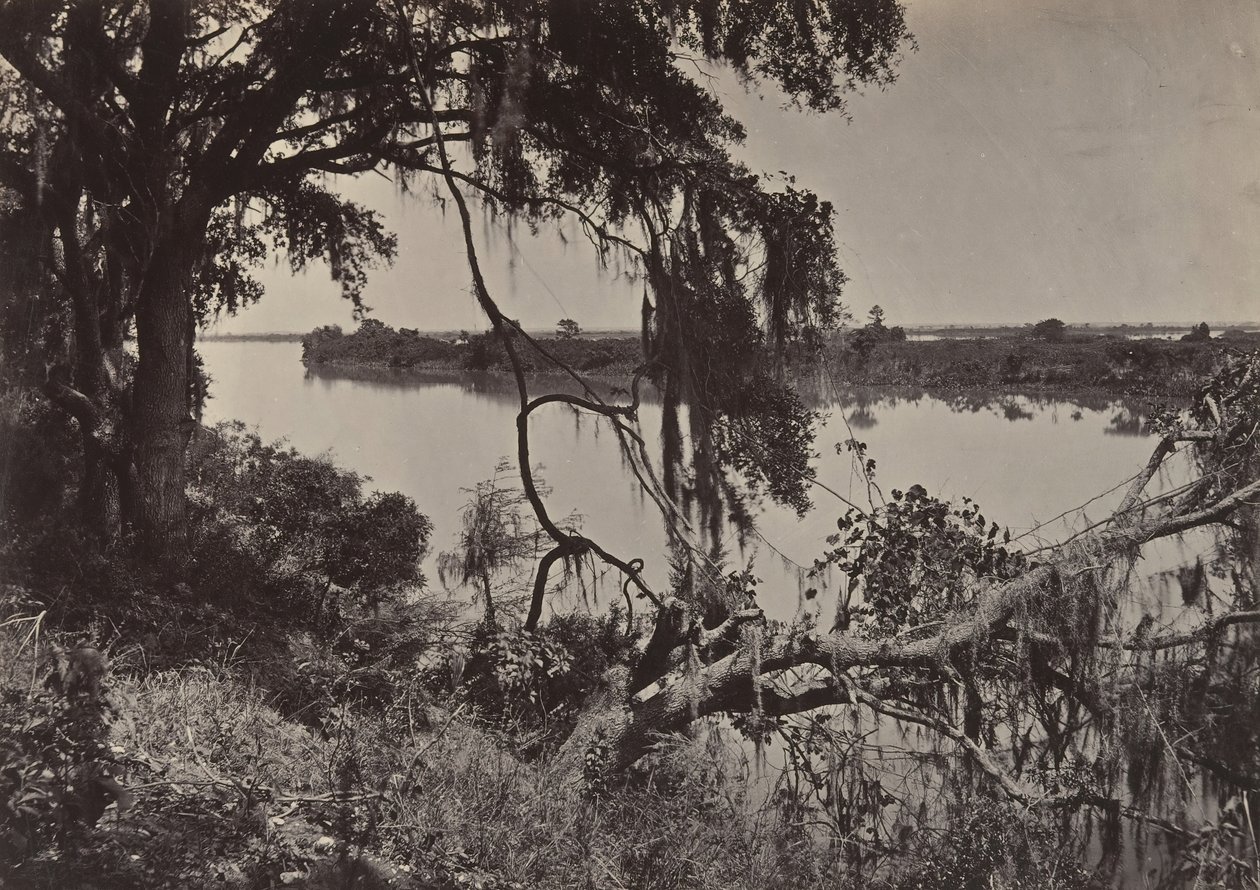 Savanah River, nær Savanah, Georgia, 1860-tallet. av George N. Barnard