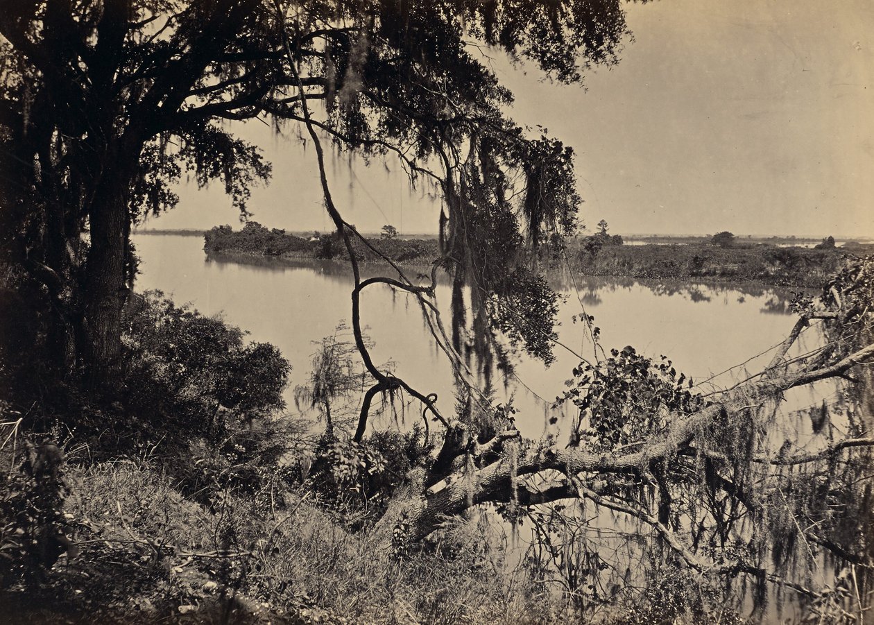 [Savannahelven, nær Savannah, Georgia] av George N. Barnard