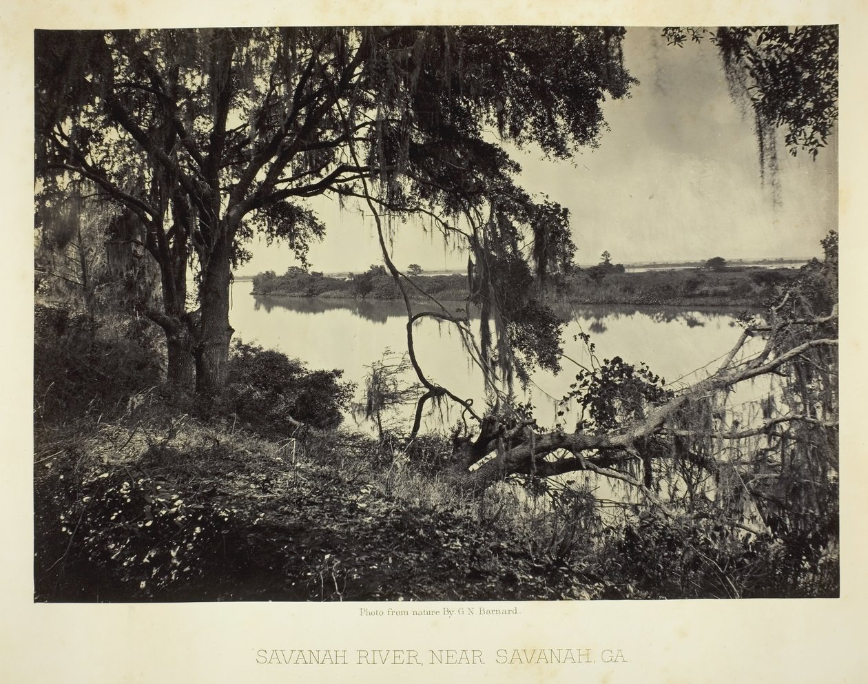 Savannah River, nær Savannah, GA, 1866. av George N. Barnard
