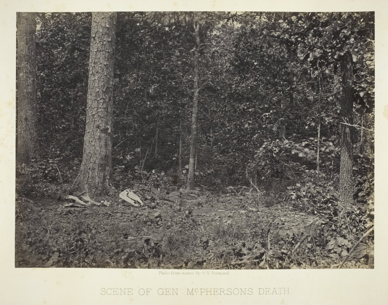  av George N. Barnard
