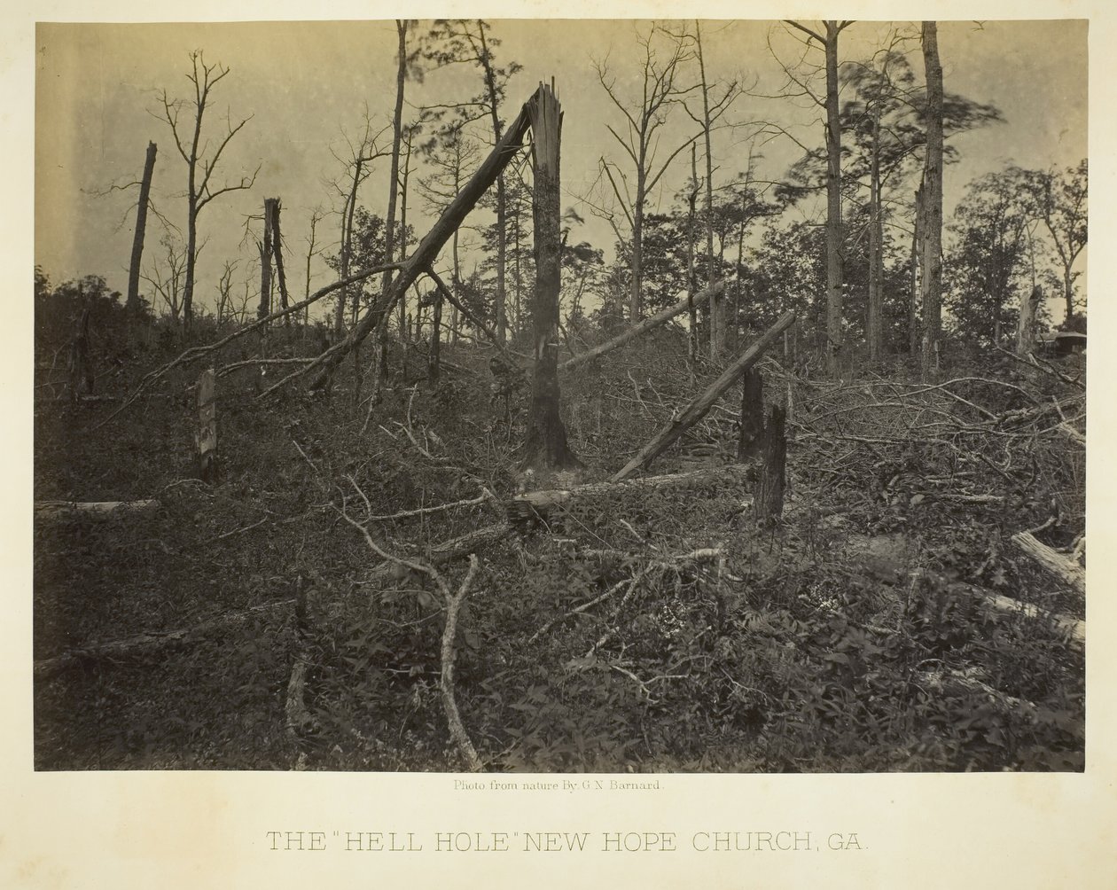 The Hell Hole, New Hope Church, GA, 1866. av George N. Barnard