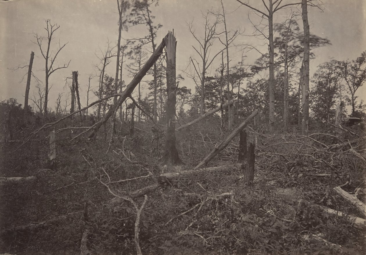 The Hell Hole New Hope Church, Georgia, 1860-tallet. av George N. Barnard