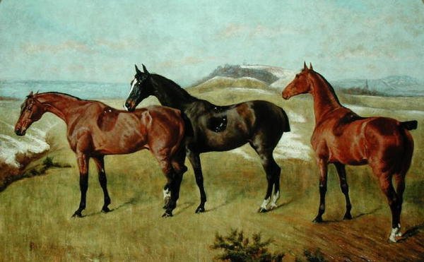 Tre hester: Whissendine, Swallow og Tiptop av George Paice