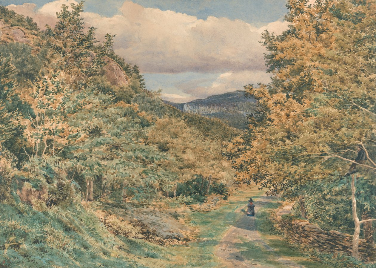 En vei nær Bettws-y-Coed av George Price Boyce