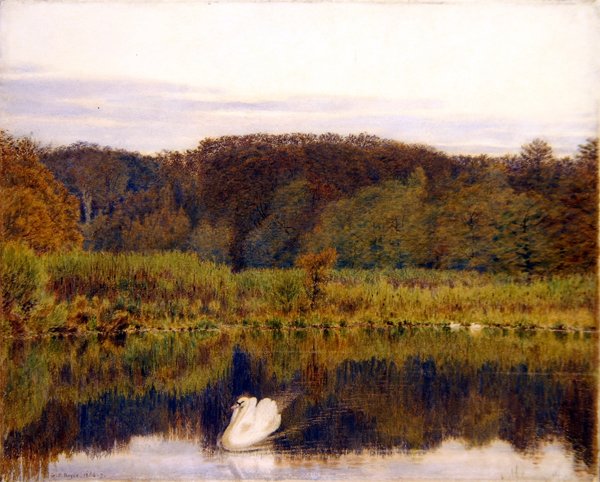 Abinger Mill Pond, Surrey- Morning in Late Autumn (akvarell på papir) av George Price Boyce