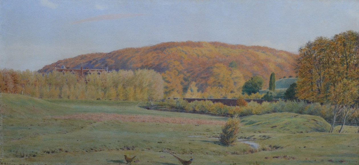 Wotton House, Surrey av George Price Boyce