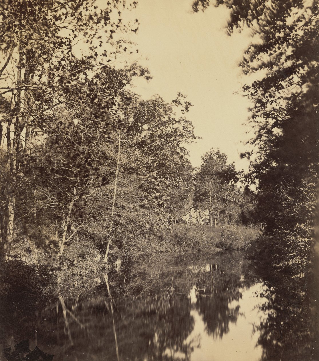  av George Rockwood Gardner