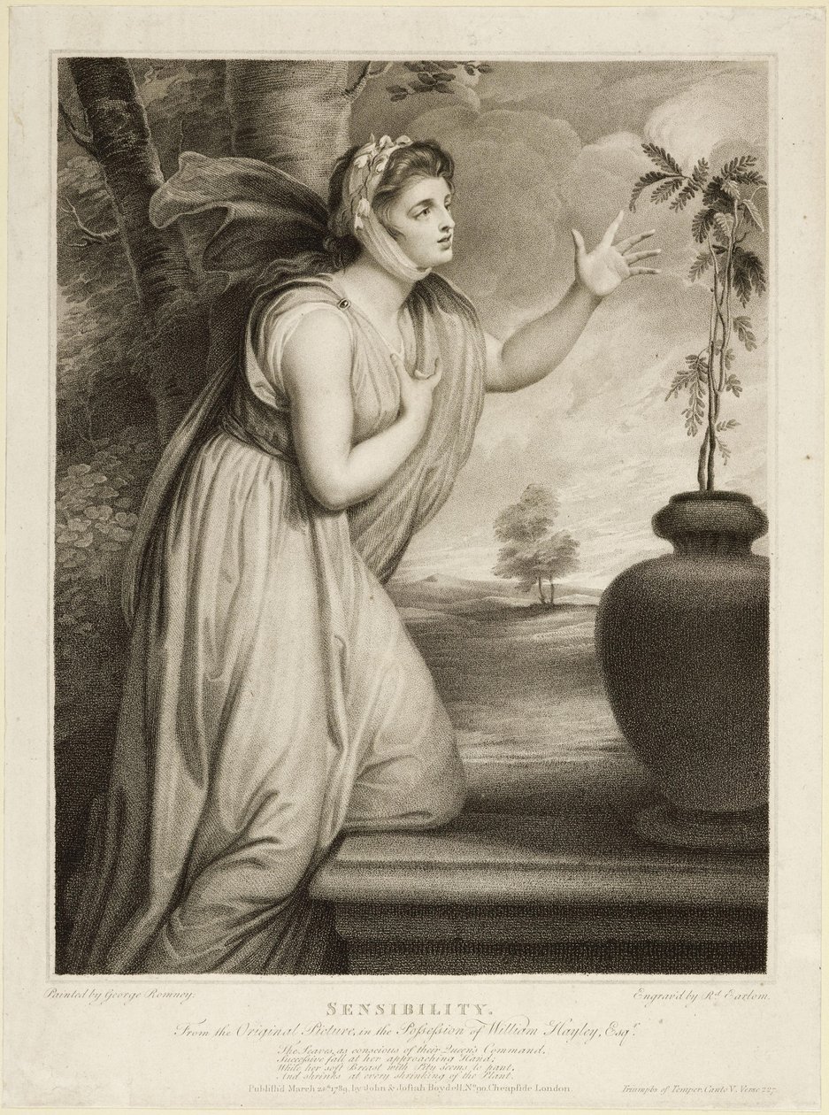 Følsomhet av George Romney