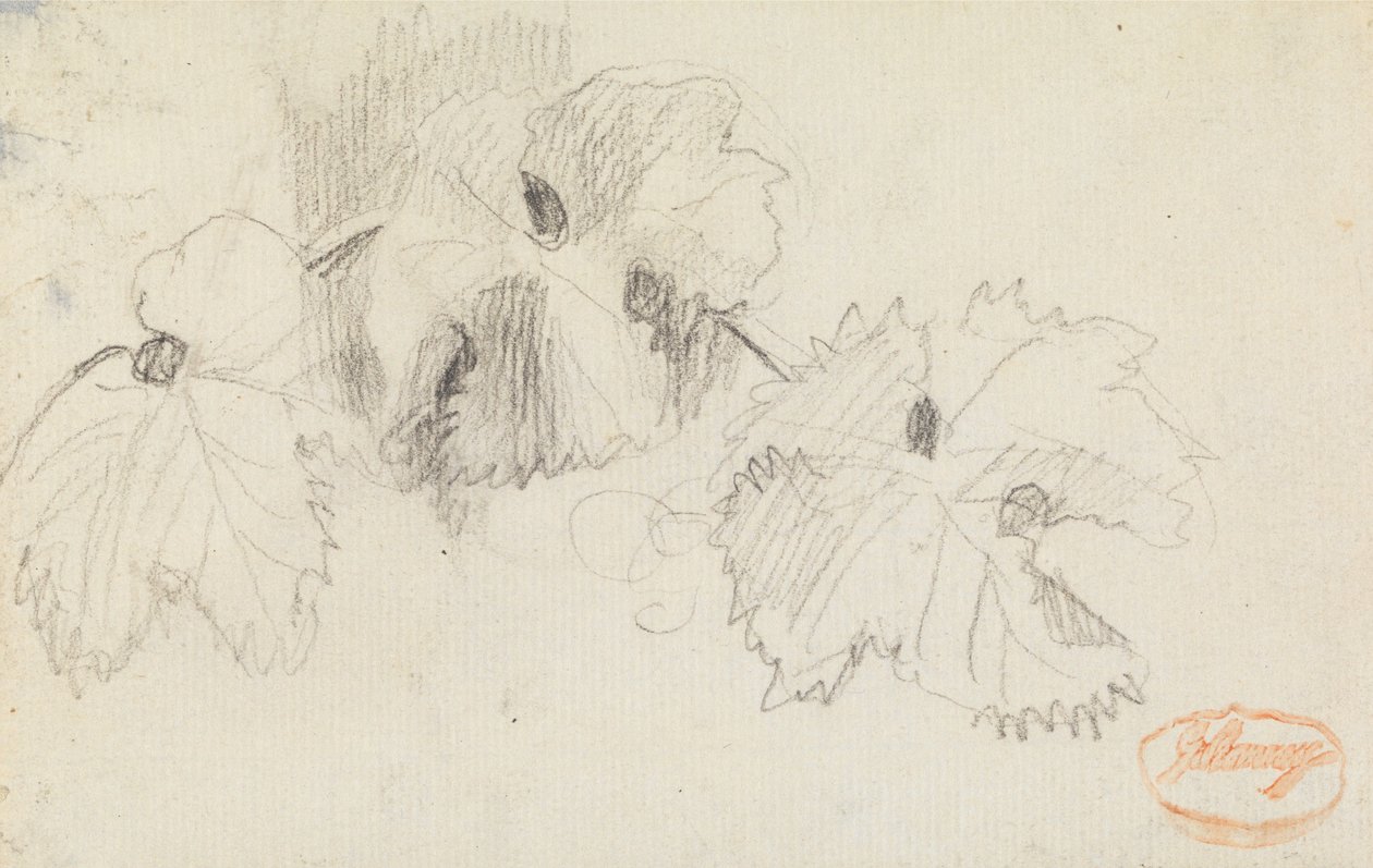 Studie av blader 1 av George Romney