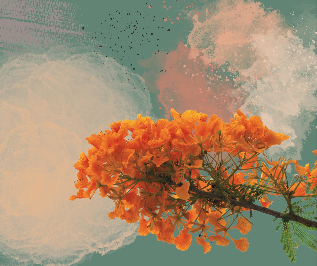 Royal Poinciana quot;El Flamboyanquot; (digital) av George Rosaly