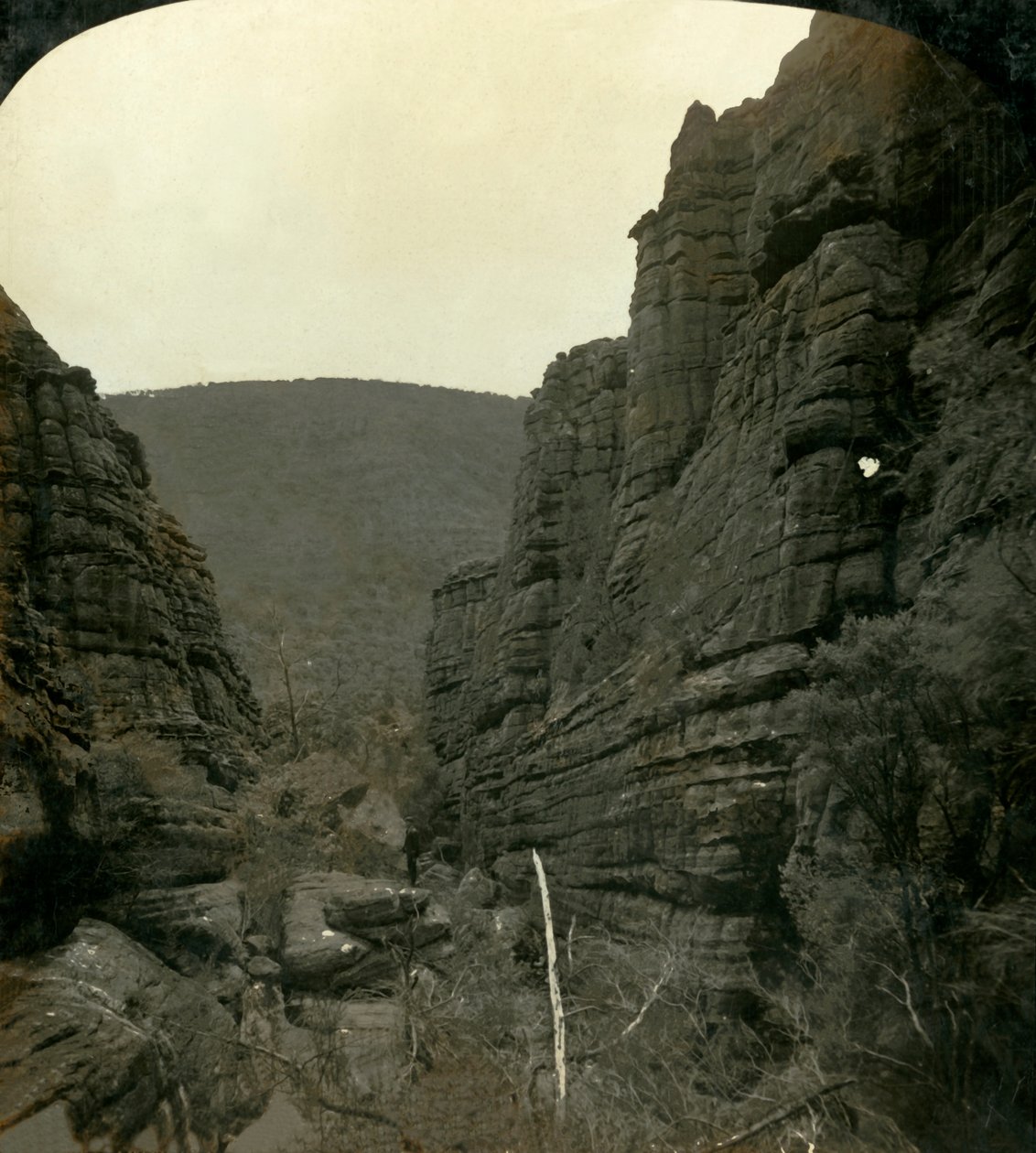 The Grand Canon [sic], Grampians, Victoria, Australia, 1908. av George Rose