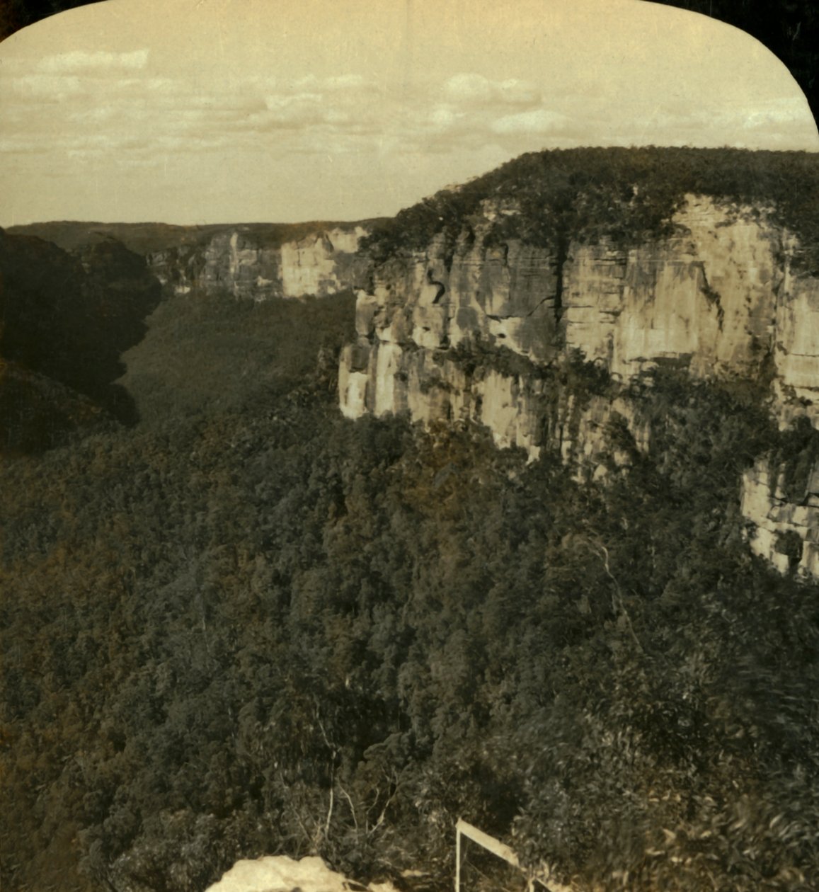 The Grose Valley, Blue Mountains, N.S.W., Australia, 1909. av George Rose
