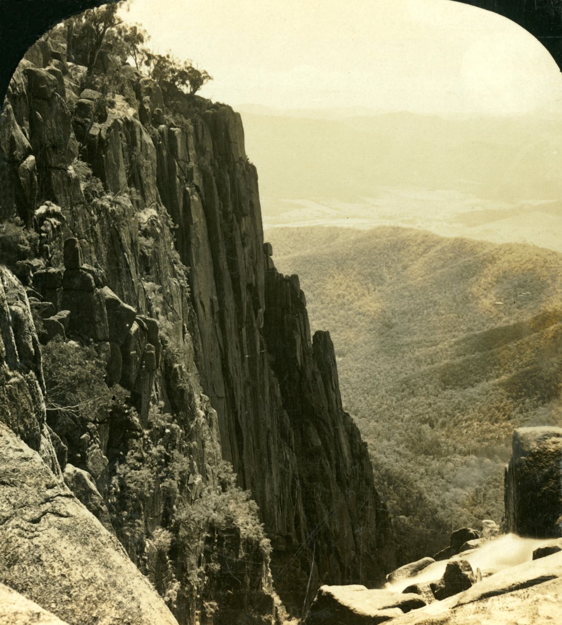 The North Side of the Gorge, Buffalo Ranges, Victoria, Australia, c1909. av George Rose
