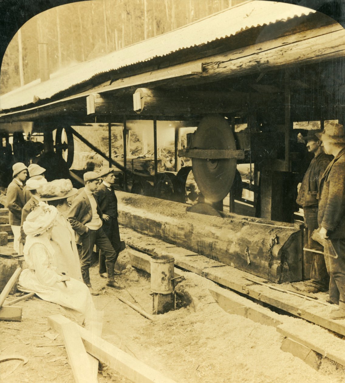 The Timber Industry, Warburton, Victoria, Australia, 1909. av George Rose