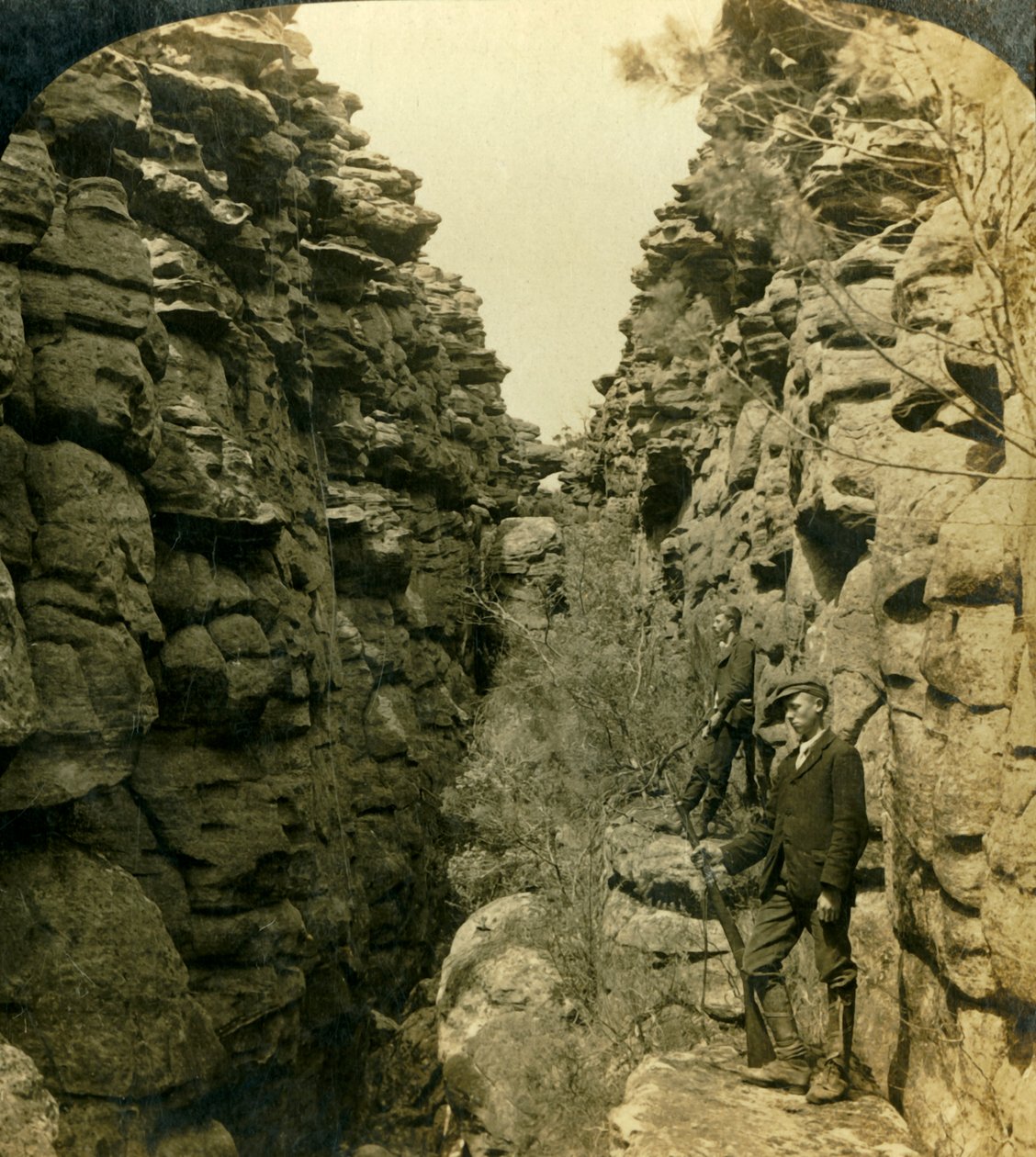 Wonderland Avenue, eller Silent Street, Grampians, Victoria, Australia, 1908. av George Rose