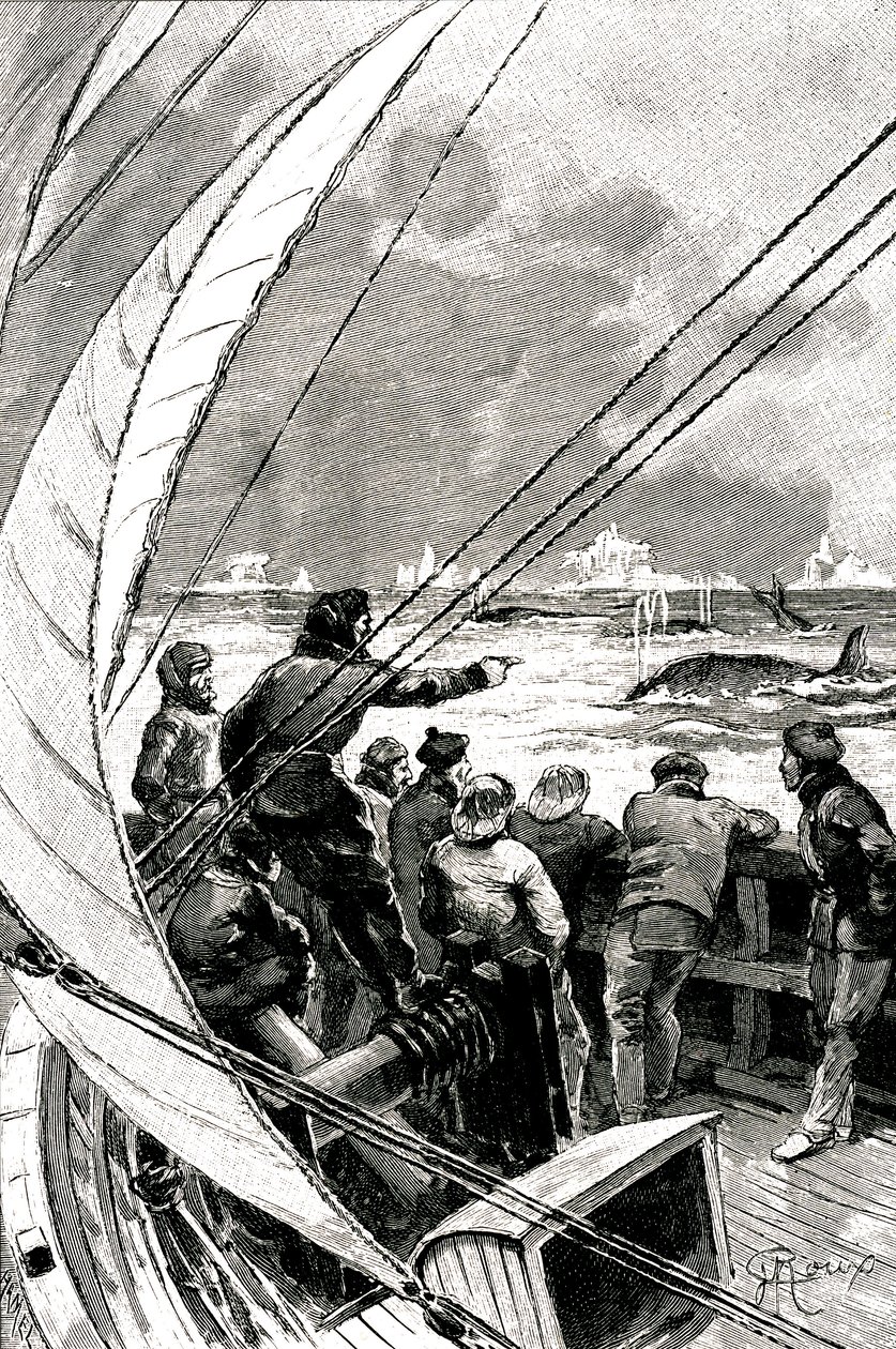 Til sjøs mot polen: mannskapet på et skip (seilbåt) ser en gruppe hvaler. Illustrasjon av romanen av Jules Verne (1828-1905) "" The Ice Sphinx "" av George Roux