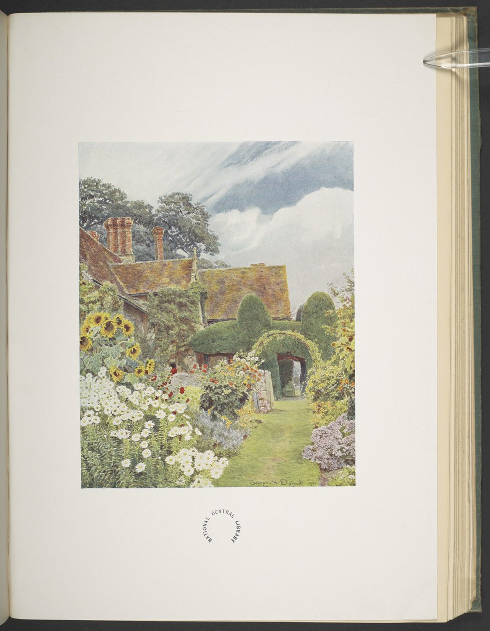 Cleeve Prior, Sunflowers, illustrasjon i "Some English Gardens", av George S. Jekzel Elgood & Gertrude Jekyll av George Samuel Elgood