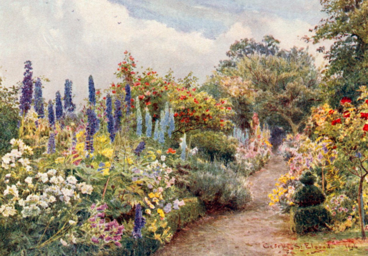 Riddersporer (fargelitografi) av George Samuel Elgood