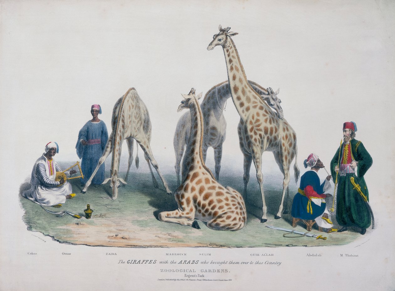 Zoological Gardens, Regent