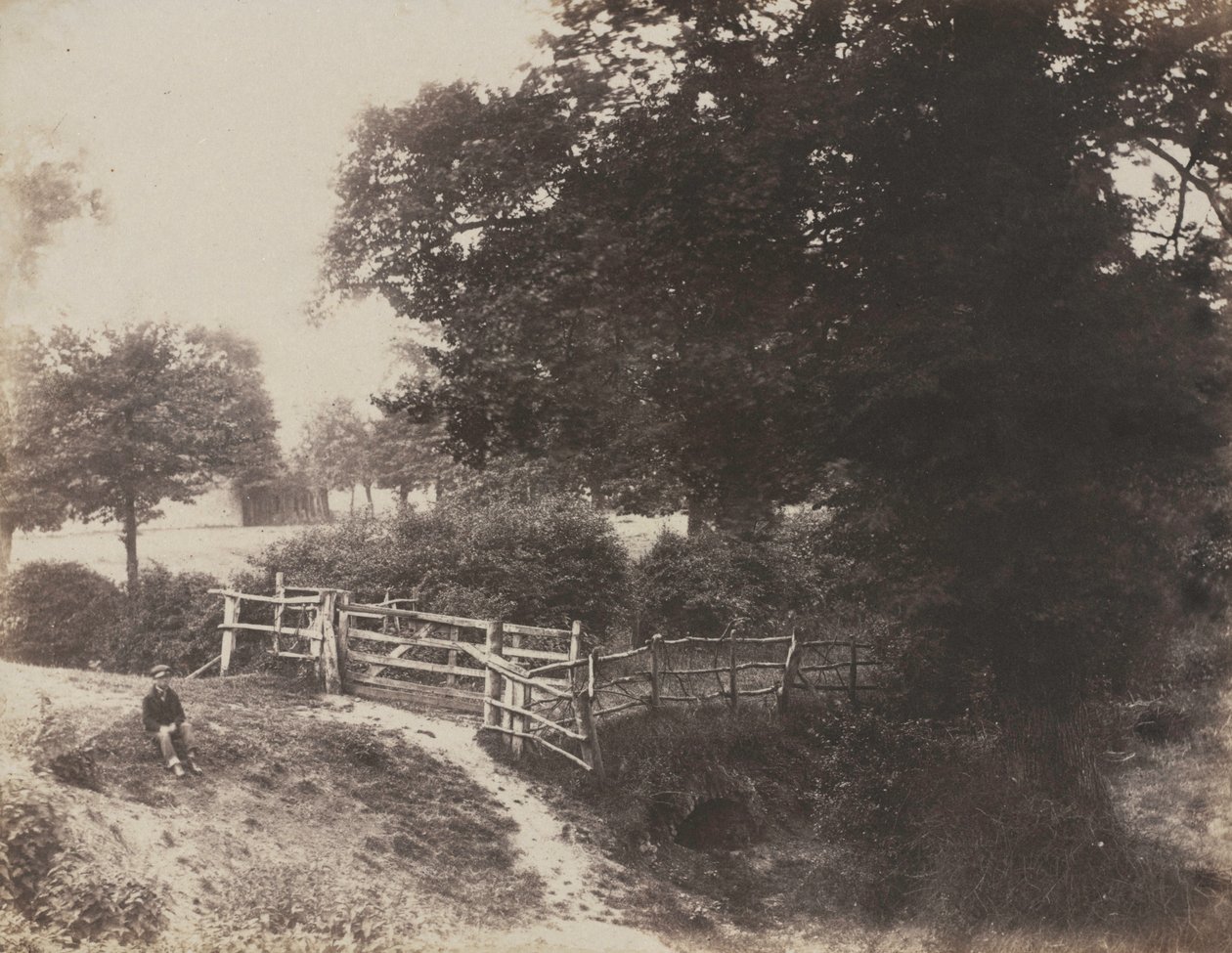 Green Meadows, 1854.    1200575   no       norwegian Successfully Translated  Original: Justice (or Equity), with Injustice and Contrast Translat: Justice (or Equity), with Injustice and Contrast 1411092 no norwegian Successfully Translated Original: Post  av George Shadbolt