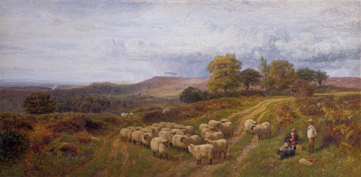 Omfattende landskap med en hyrde og saueflokken hans, Surrey (olje på lerret) av George Shalders