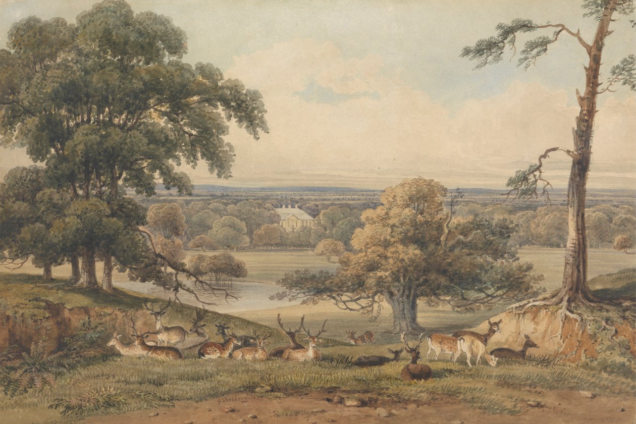 En fjern utsikt over Ampthill Park av George Shepherd