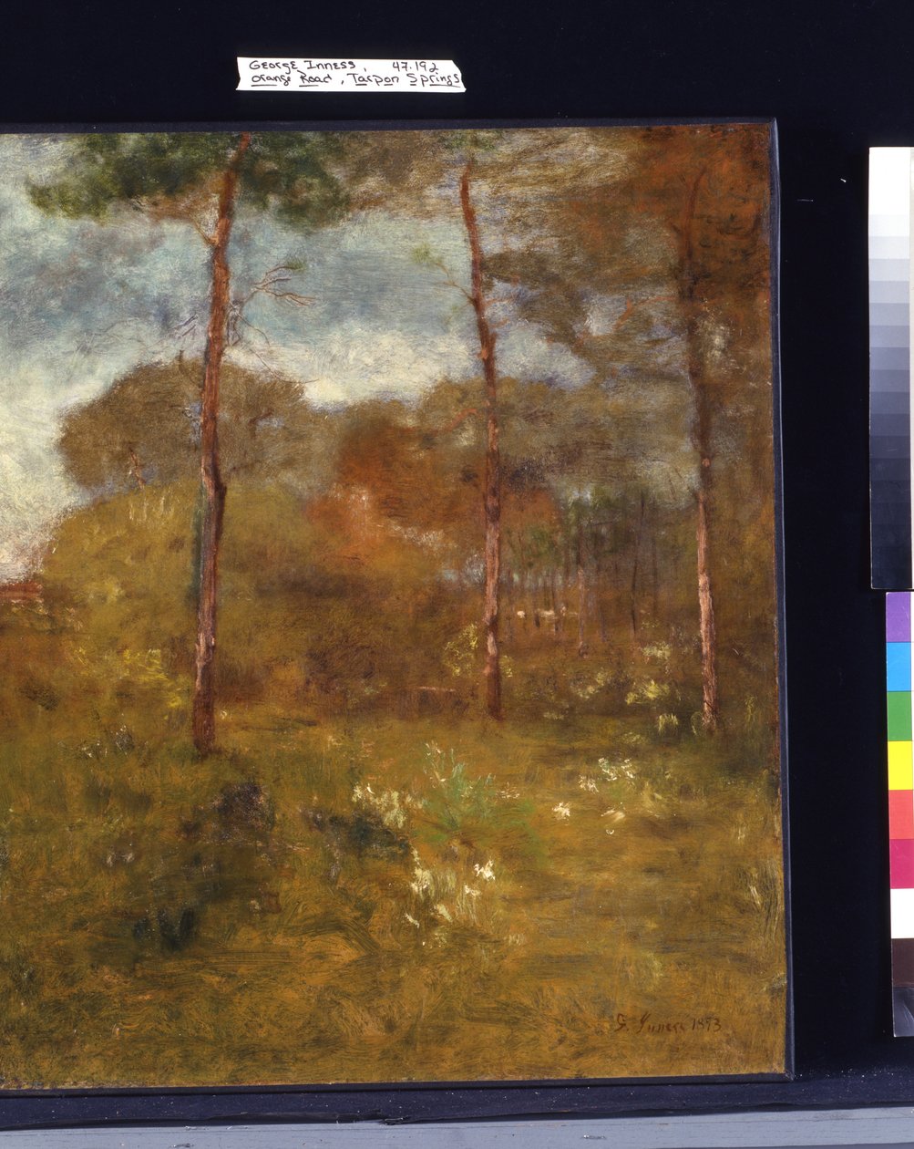 Orange Road, Tarpon Springs (olje på lerret) av George Snr. Inness