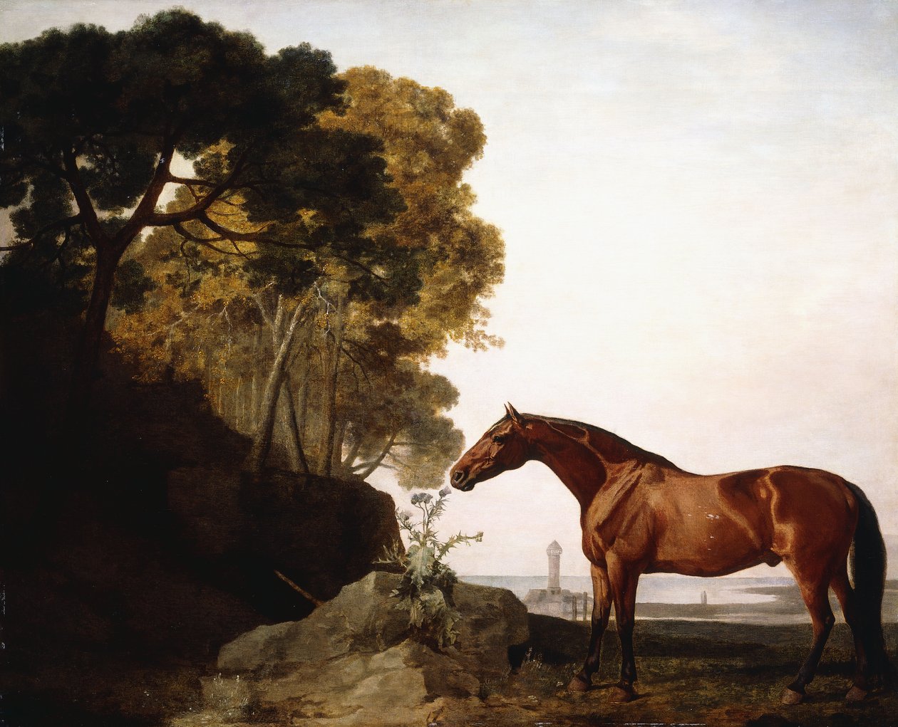 A Bay Arab in a Coastal Landscape, 1779 av George Stubbs