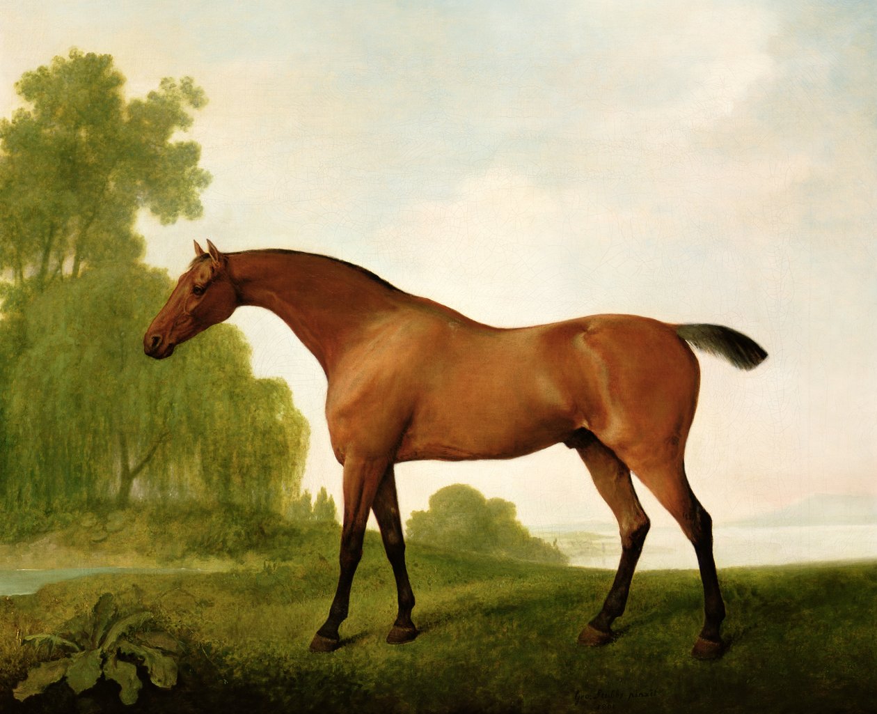 En buktfullblod i et landskap av George Stubbs