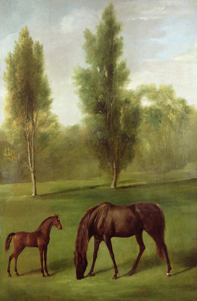 En kastanjehoppe og føll i et skogslandskap, ca. 1761-63 (olje på lerret) av George Stubbs