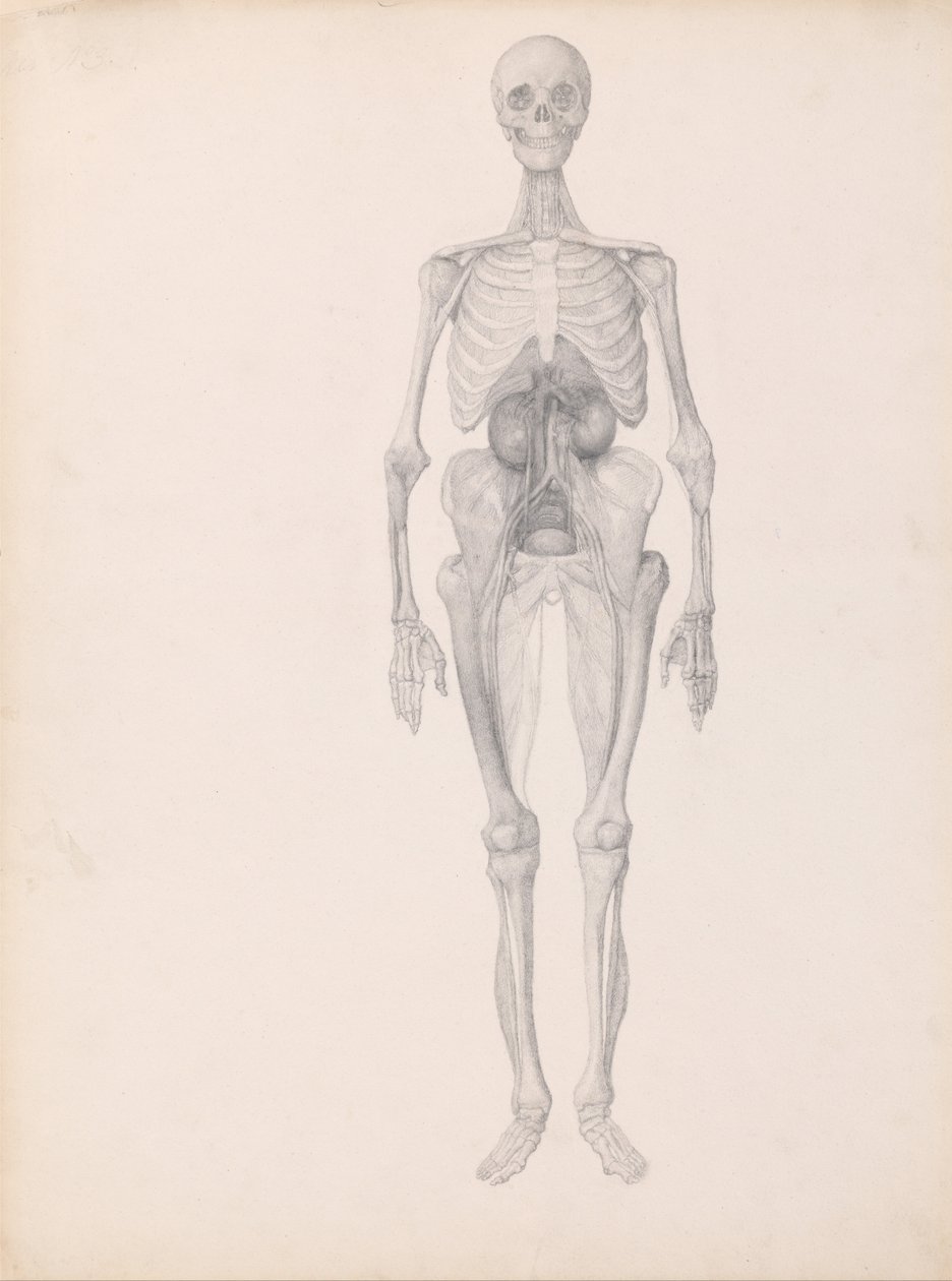  av George Stubbs