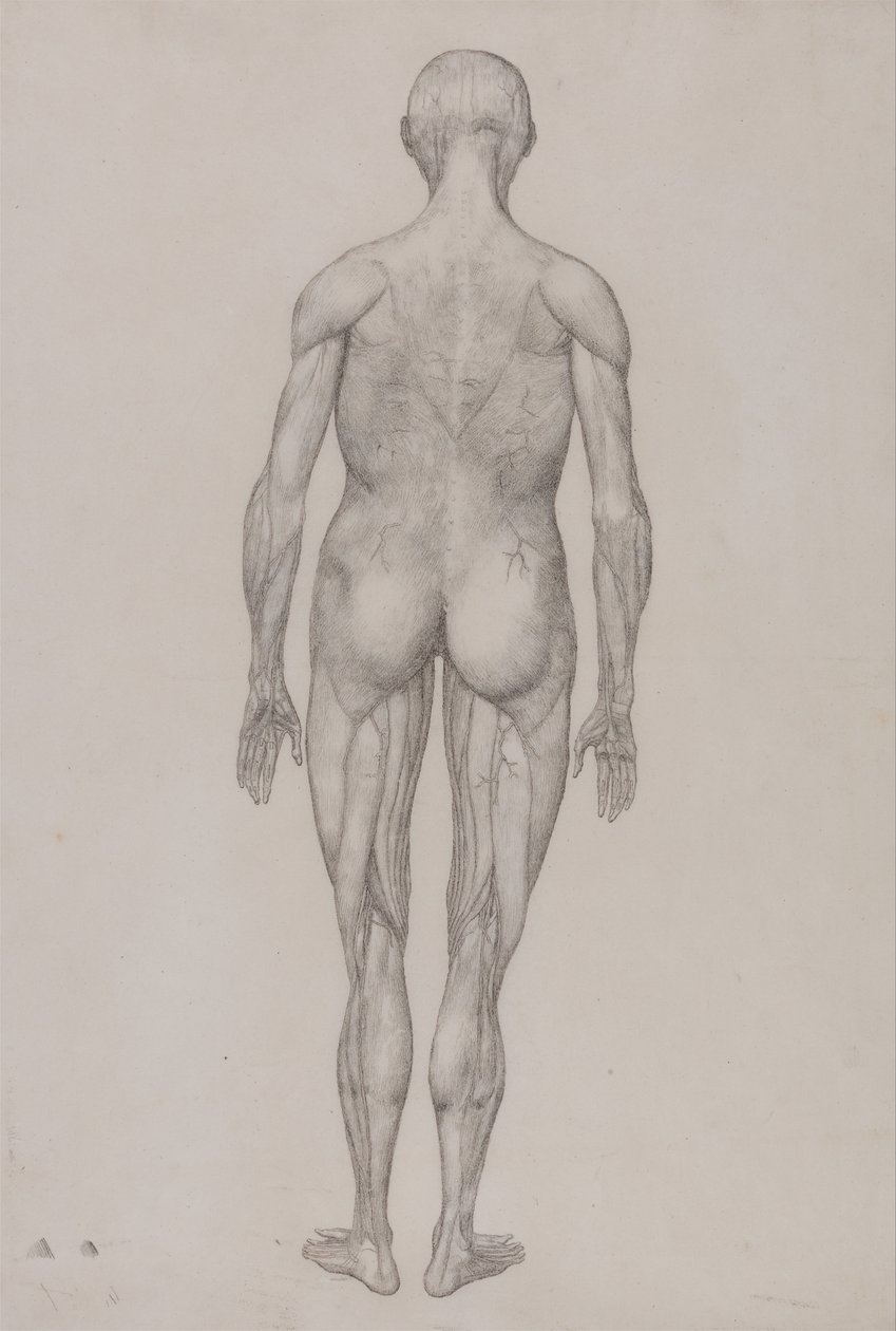  av George Stubbs